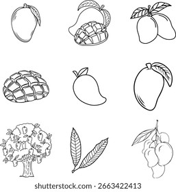 Mango Line Art Clipart Bundle | Hand-Drawn Tropical Fruit Illustrations | Black and White Botanical vector Set