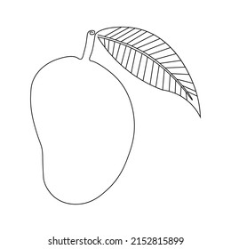 Mango line drawing vector. Isolated icon. Fruits Vector. Design linear artwork element. Flat design. one-line object.