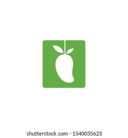 Mango logo flat design vector template