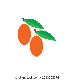 Mango logo flat design vector template