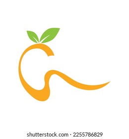Mango logo flat and symbol design vector template