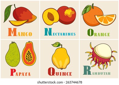 Mango, nectarines, orange, papaya,quince, rambutan. Alphabet & Fruit Vector Set. From M to R. Illustration. Education for children, preschool, cute, poster. Hand Drawn.