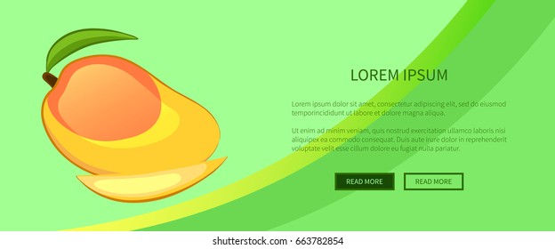 Mango on a green background. The web banner. Cartoon style. Vector illustration.