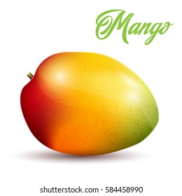 Mango on white background
