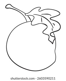 Mango outline for color vector illustration