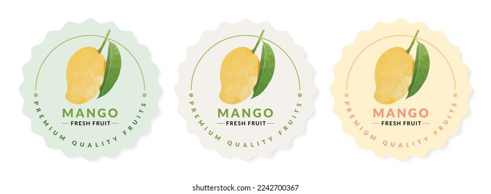 Mango packaging design templates, watercolour style vector illustration.