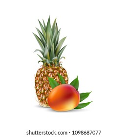 Mango and pineapple. 3d realistic vector EPS 10. Packaging template. Brand advertising. Mango leaves.  Ananas. Isolated on white.