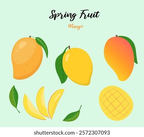 Mango pulp and leaves illustration