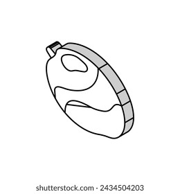mango ripe delicious isometric icon vector. mango ripe delicious sign. isolated symbol illustration