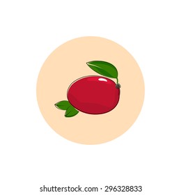Mango ,Round Icon Colorful Mango, Fruit Icon, Vector Illustration
