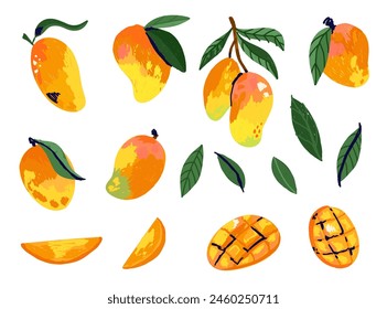 Mango set. Abstract exotic tropical fresh fruit, whole half and slice with green leaves. healthy dessert, organic juice, botanical element. Vector cartoon minimalistic isolated hand drawn illustration