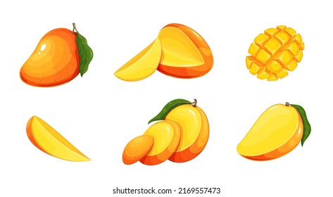 Mango set vector illustration. Cartoon isolated exotic organic fresh fruit cut in half pieces and slices for healthy vitamin vegetarian menu. Ripe sweet tropical mango with leaf