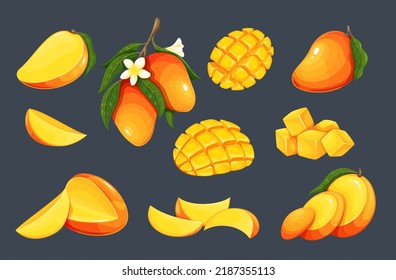 Mango set vector illustration. Cartoon isolated whole fresh raw tropical fruit cut into halves, quarters, slices and cubes for healthy dessert. Mango with flowers and leaves on tree branch