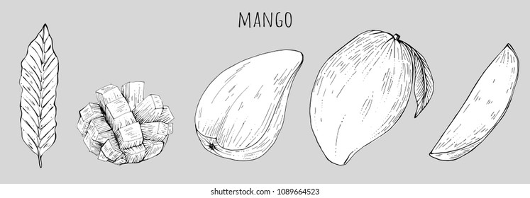 mango set, whole and pieces, vector