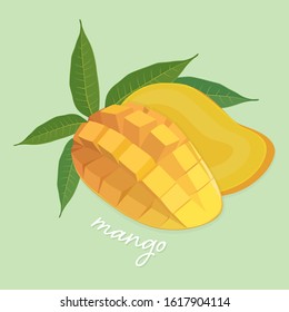 Mango slice with leaf on green background template. Vector set of fruit element for advertising, packaging design of mango products.