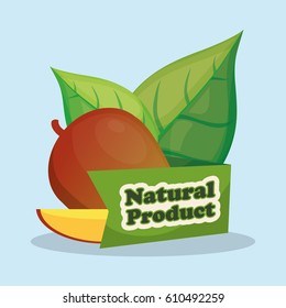 mango slice natural product design vector illustration eps 10