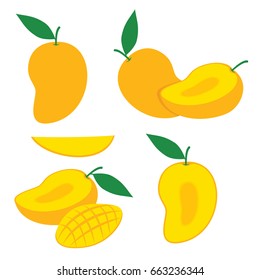 Mango Slice Vector Set. Mango Illustration Fruit Vector Design Stock Image