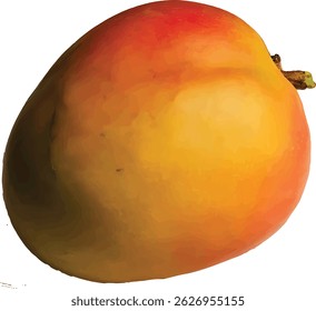 mango stock photos premium quality