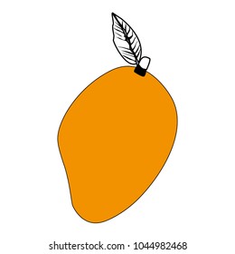 Mango sweet fruit
