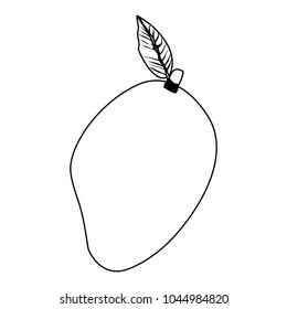 Mango sweet fruit