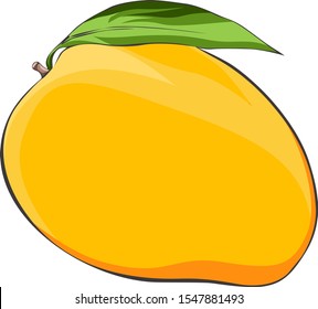 Mango tasty fruit vector illustration