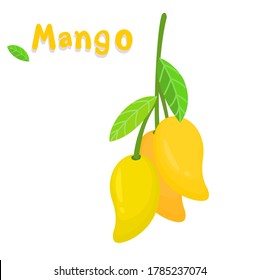 Fruta tailandesa de Mango sobre el vector de fondo blanco