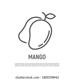 Mango dünne Linie Symbol. Tropische exotische Früchte. Gesunde Bio-Lebensmittel. Vektorgrafik.