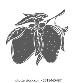 Mango tree branch glyph icon vector illustration. Stamp of Mangifera indica twig with leaves, flowers and ripe raw fruits hanging on stem, mango plant and organic harvest of summer exotic garden