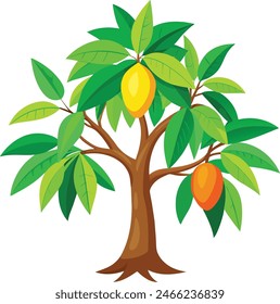  mango tree illustration Vector file