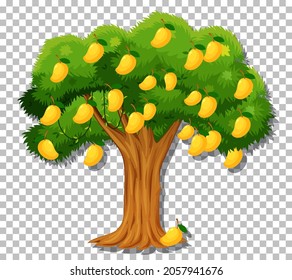 Mango-Baum auf transparentem Hintergrund, Vektorgrafik
