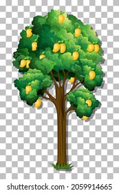 Mango tree on transparent background illustration