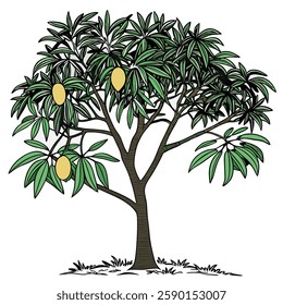 Mango Tree with Ripe Mangoes | Tropical Fruit Illustration
