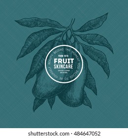 Mango Baum Vintage Design-Vorlage. Botanische Mango-Fruchtgrafik. Graviert Mango. Vektorgrafik