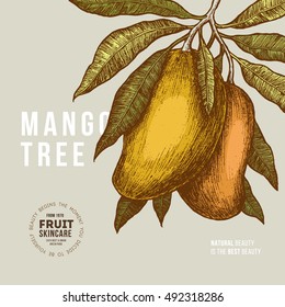 Mango tree vintage design template. Botanical mango fruit illustration. Engraved mango. Vector illustration