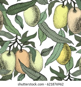 Mango tree vintage seamless pattern. Botanical fruit background. Engraved. Retro illustration