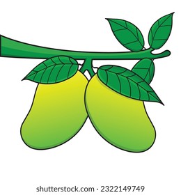 Mango. Mango treee cartoon icon vector design illustration wallpaper.Mango with leaf.  