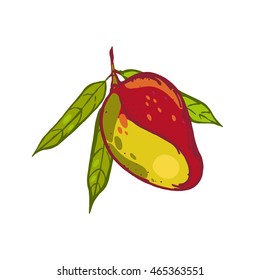 Mango tropical fruit. Label. Hand drawn design elements. Vector illustration.