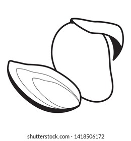 mango tropical vector illustration on white background
