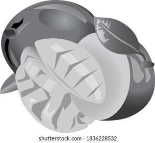 Mango with a twig and a leaf and a cut piece. Grayscale image of food. Vector illustration isolated on white background.