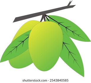 Arte vectorial de mango por ilustración