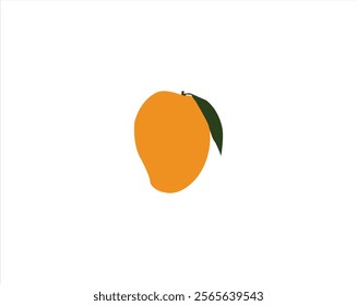 Mango Vector And Design  For Shutterstock