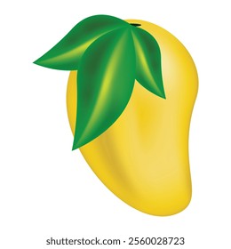  Mango vector design, Tropical fruit vector, Mango illustration, Mango clipart, Fruit vector art. 