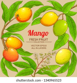 mango vector frame