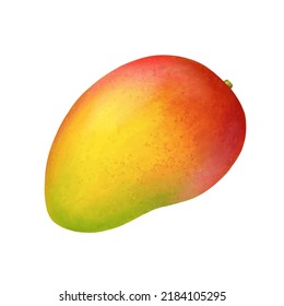 Mango vector. Fresh tropic whole fruit. Realistic vivid illustration isolated on white background. Icon eps clip art.