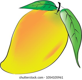 Mango vector graphic design for company logo graphic trendy design.