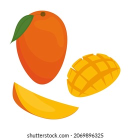 Mango vector. Mango mango half and mango slice isolated on a white background.