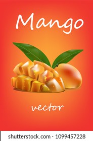 mango vector illustration