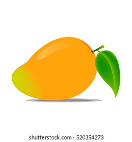 Mango Vector Illustration