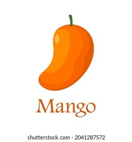 Mango vector. Vector illustration of fresh mango in trendy style isolated on white background