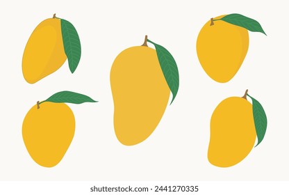 Mango Ilustración vectorial Dibujo a mano Paquete de gráficos